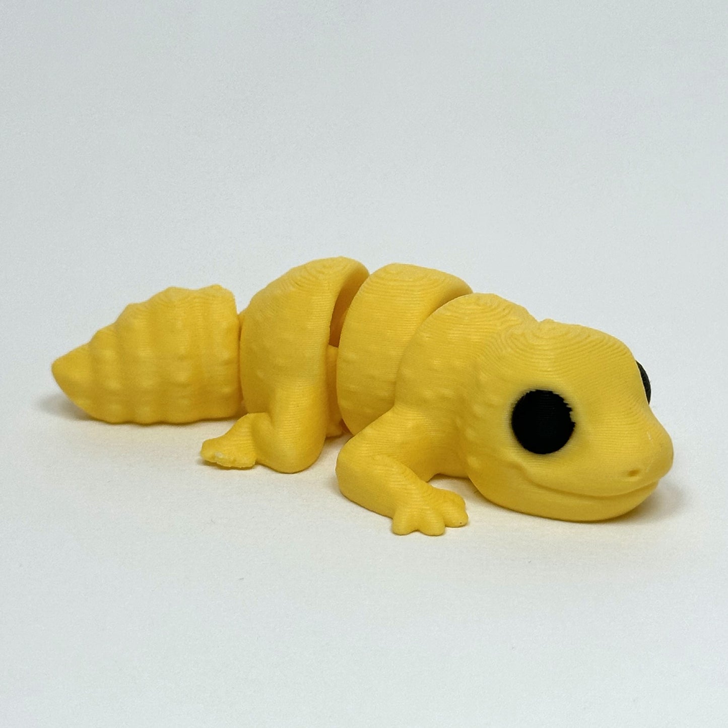Gecko