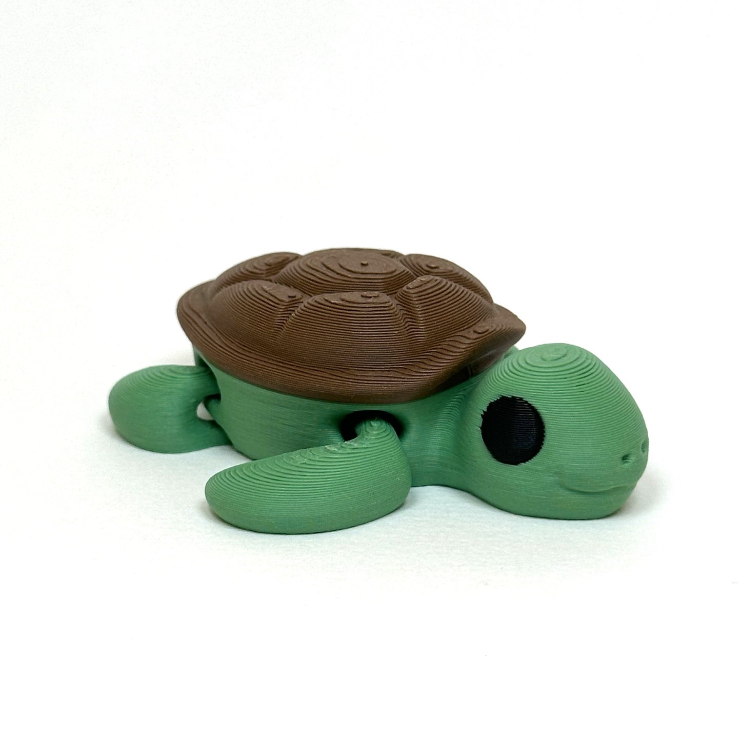 Tortue
