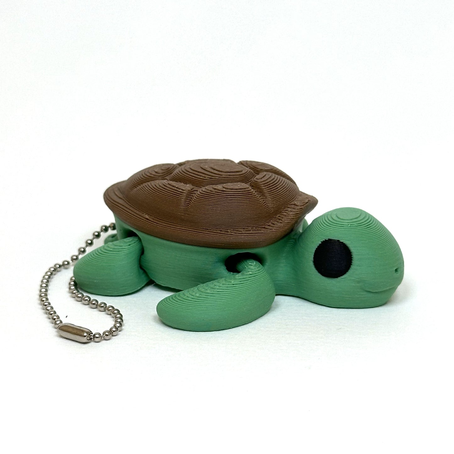 Tortue