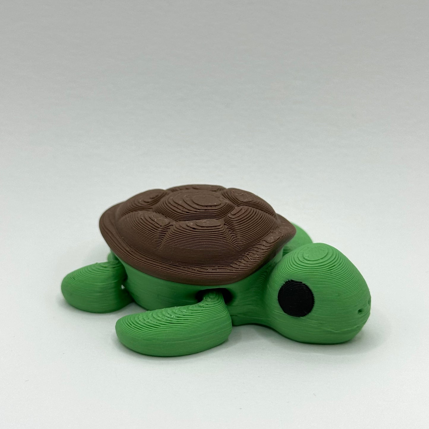 Tortue