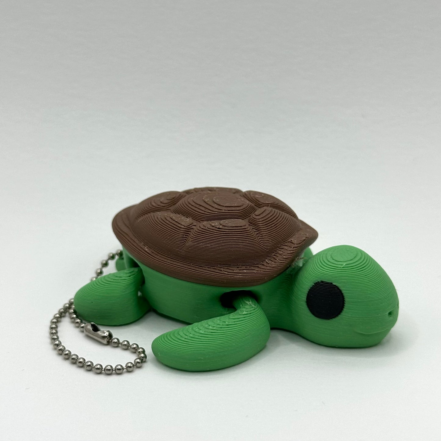 Tortue