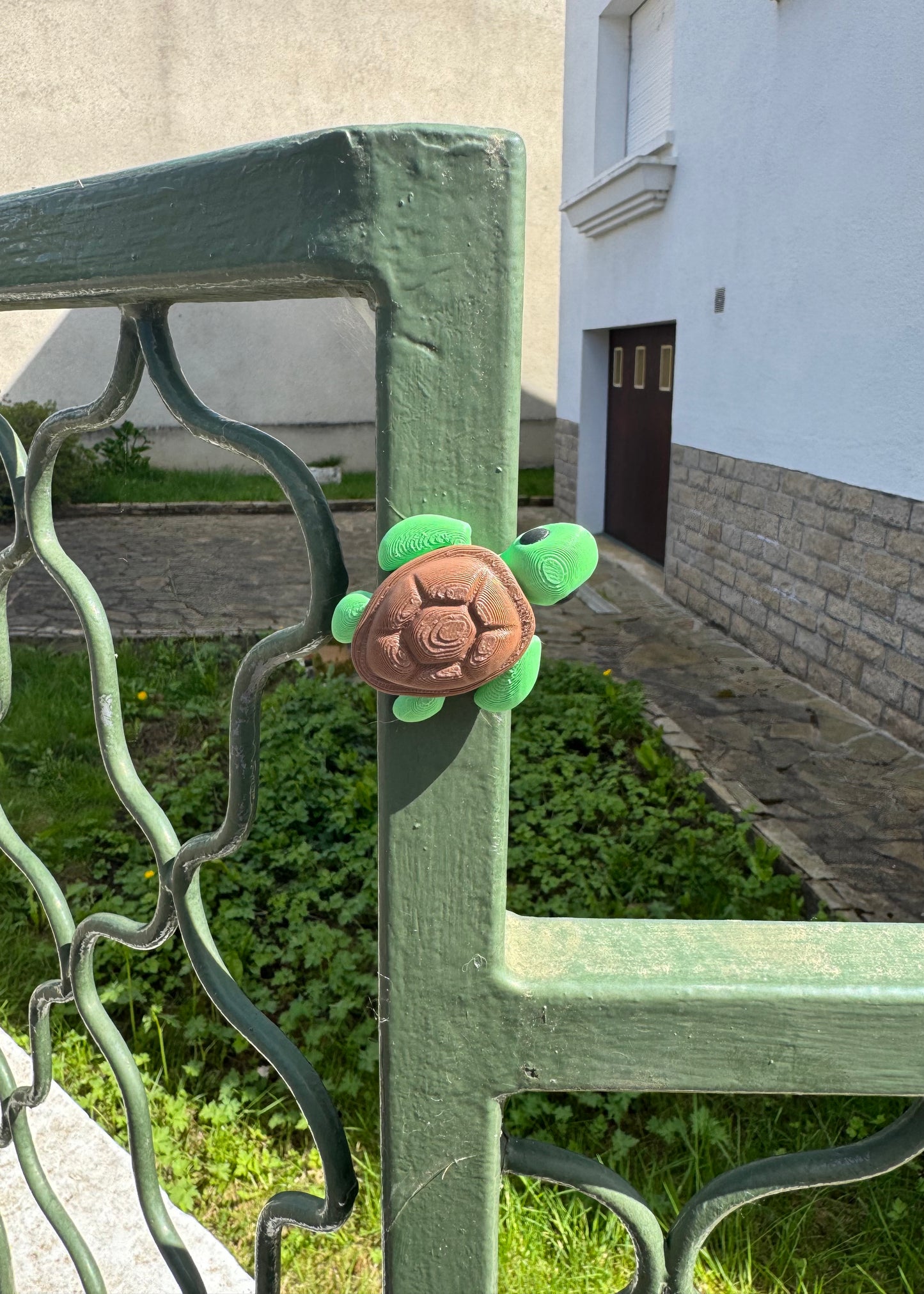 Tortue