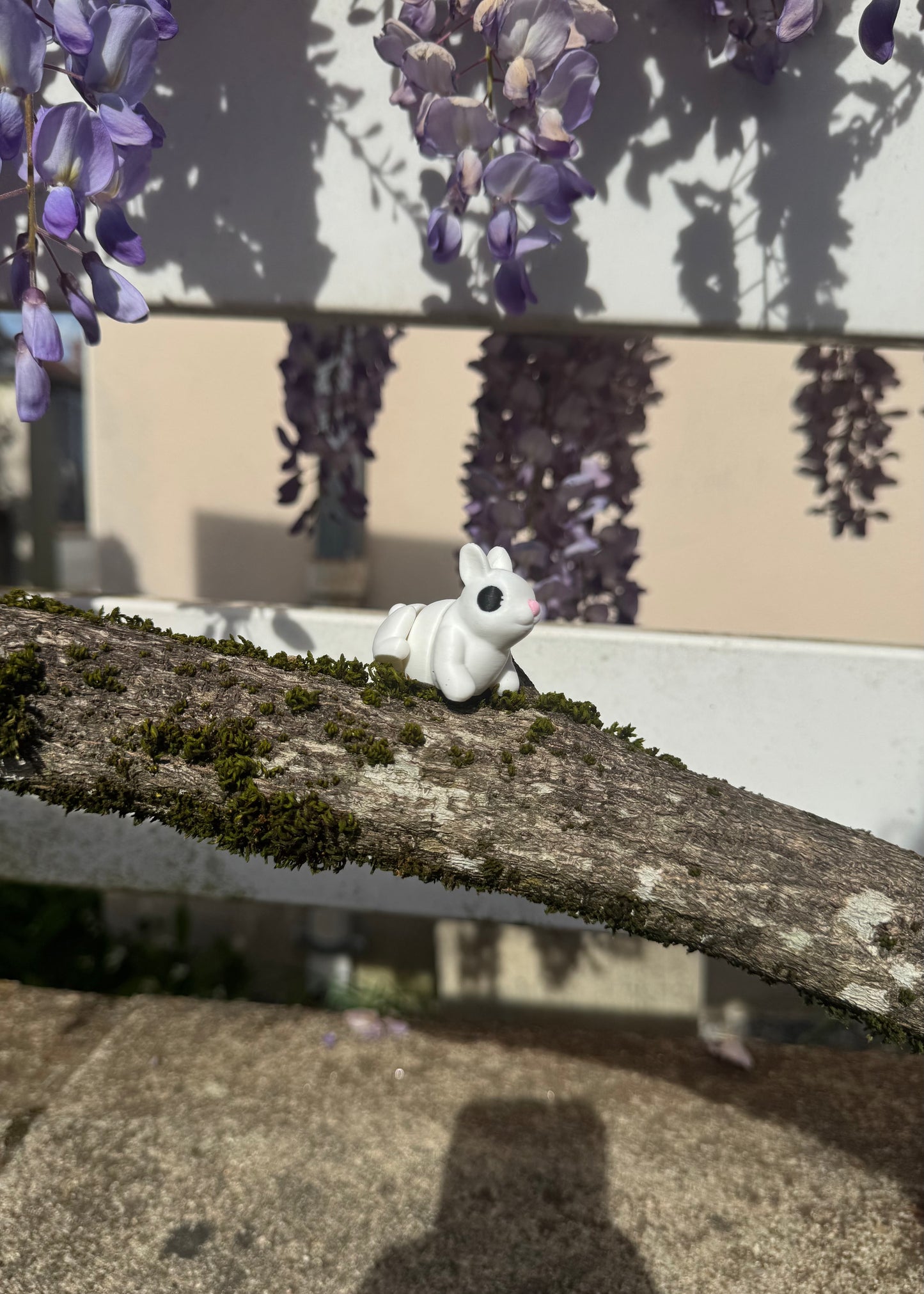 Lapin