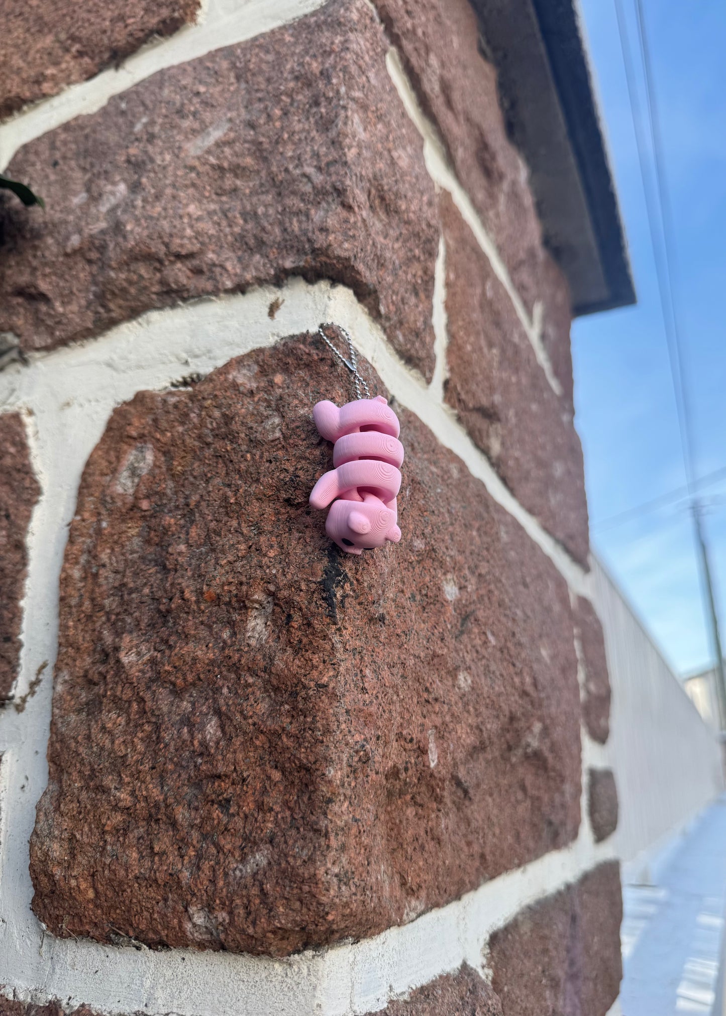Cochon