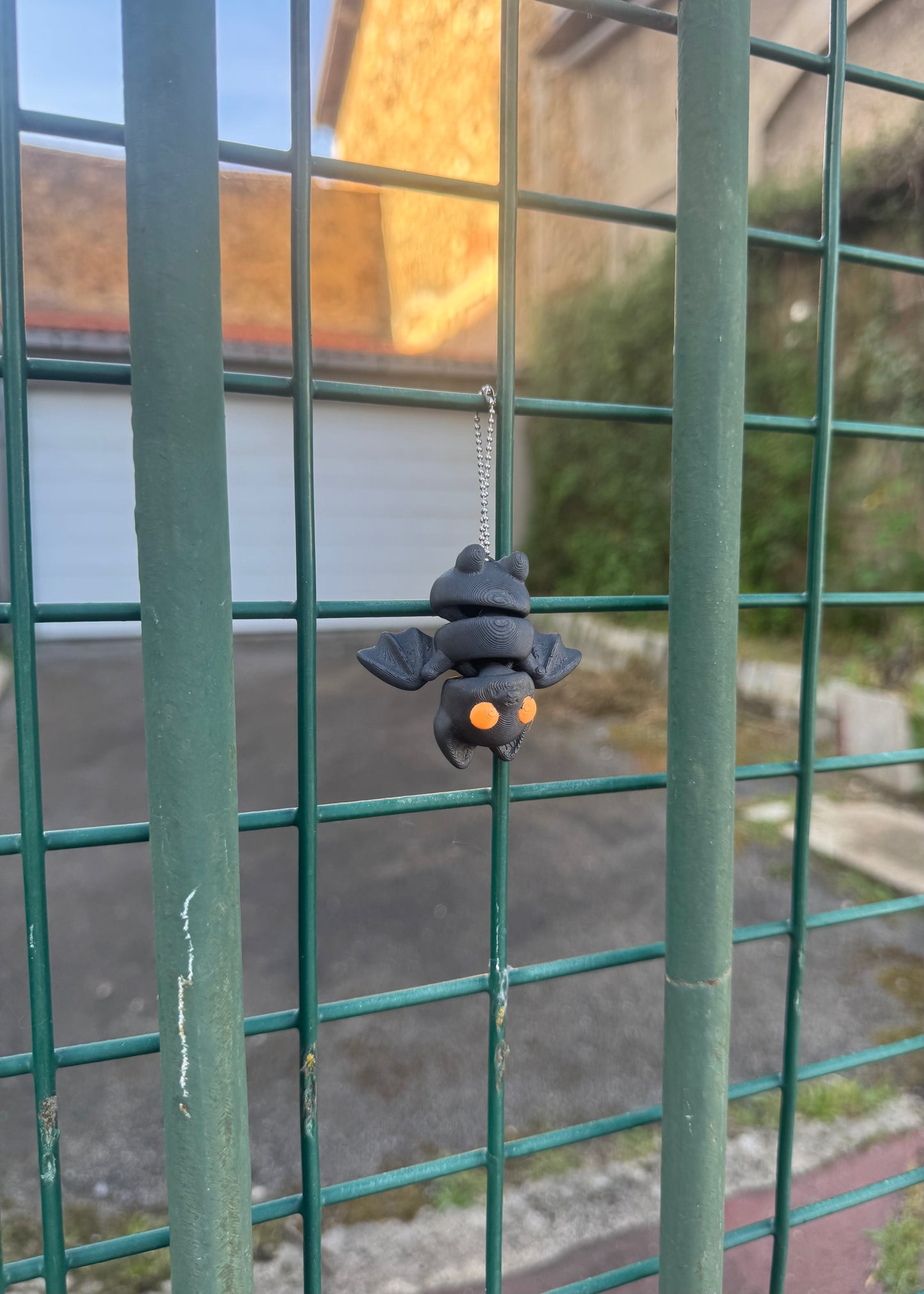 Chauve souris