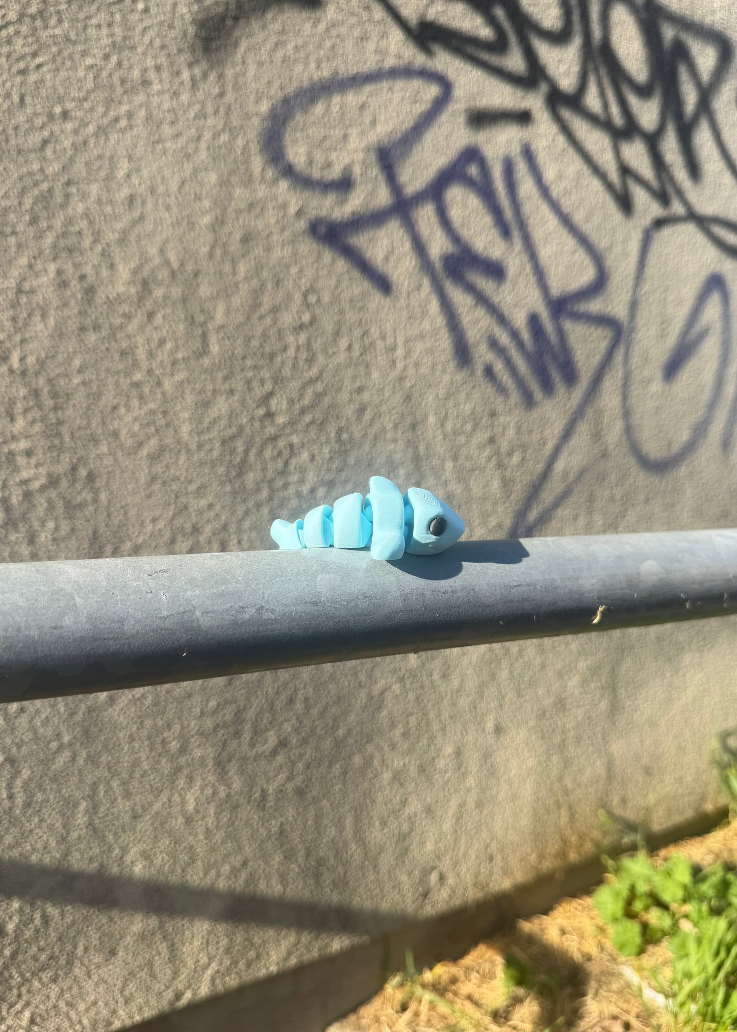 Requin